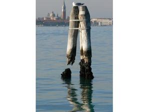 UNAHOTELS Ala Venezia - Adults only +16 | Venice | venice view from canal